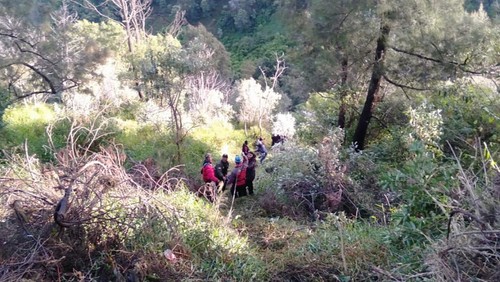 Evakuasi jeep terjun ke jurang kawasan Gunung Bromo