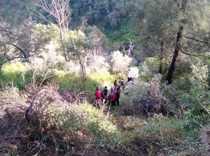 Tikungan Bukit Cinta, TKP Jip Wisatawan Bromo Masuk Jurang