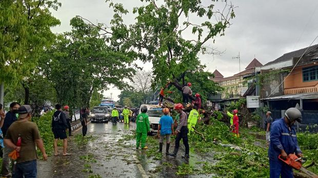 Dampak hujan angin yang melanda Sleman