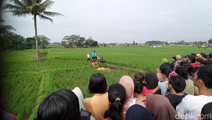 Lokasi temu mayat kakek di Tasikmalaya