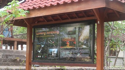 Luweng Jomblang Cahaya Surga Usai Mati Suri gegara Pandemi