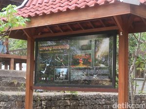 Luweng Jomblang Cahaya Surga Usai Mati Suri gegara Pandemi