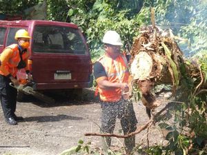 Garasi-Mobil Rusak Tertimpa Pohon Aren di Karangasem