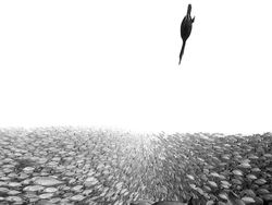 Terpukau Jawara Bird Photographer of the Year 2022