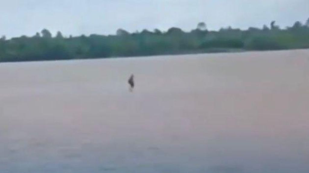 Viral Pria Disebut Jalan di Atas Air, Warga Banjarmasin Ungkap Fakta Ini