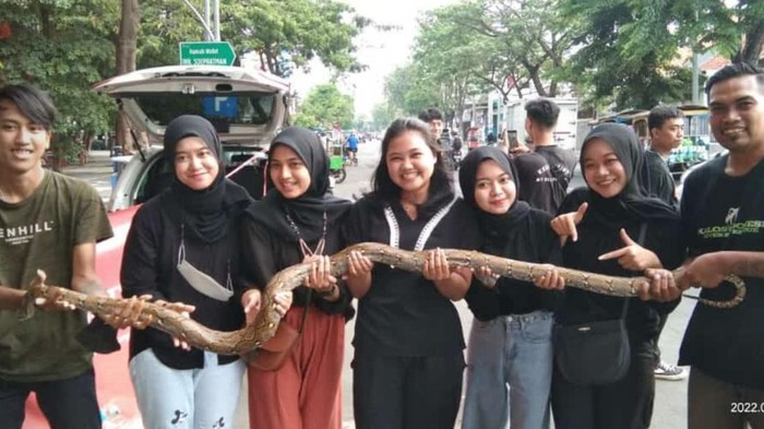 Komunitas Exhalos saat memegang ular sanca