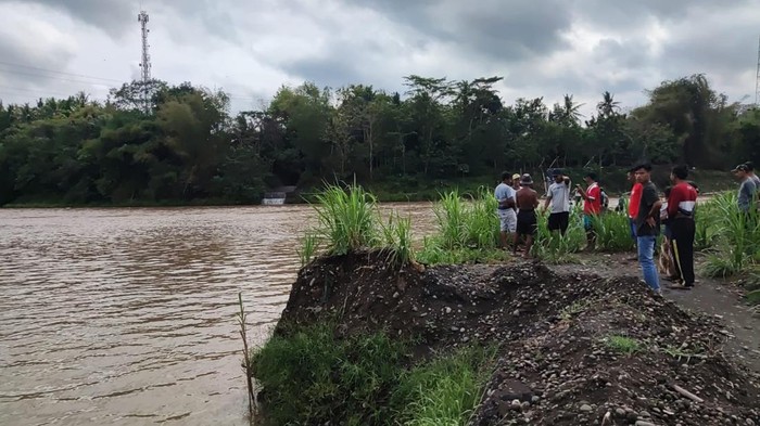 Warga mencari pemuda yang hilang di Kali Progo, Minggu (11/9/2022).