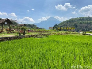Long Weekend Menanti, Ini Wisata Alam Dekat Surabaya