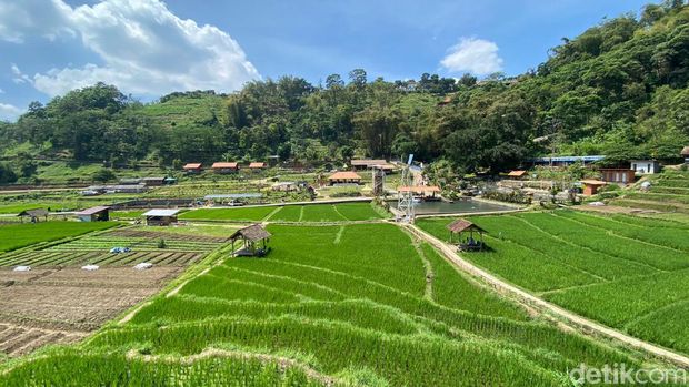 Letaknya di antara Gunung Welirang dan Penanggungan membuat Trawas, Kabupaten Mojokerto menjadi jujukan wisata. Salah satunya Sumber Gempong yang pas banget untuk healing seru bersama keluarga atau teman.