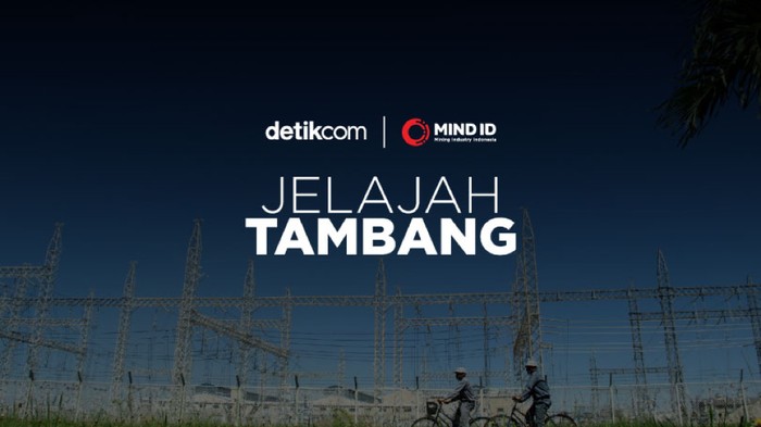 adv mindid