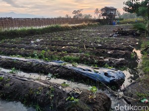 Terendam Banjir, Petani-Peternak Ikan di Tasik Terancam Gagal Panen