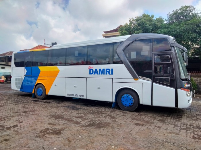 Bus DAMRI