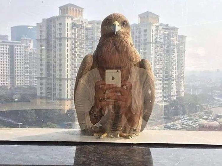 Foto mengecoh mata Foto mengecoh mata