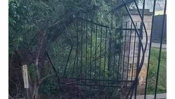 Pagar dijebol bebek. Foto: Boredpanda