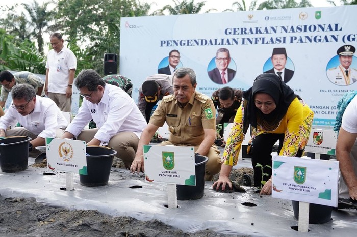 Gerakan Nasional Pengendalian Inflasi pangan (GNPIP) Riau di Desa Pulau Birandang, Kampar, Senin (12/9/2022).