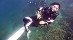 Hobi Baru Gisella Anastasia, Coba Scuba Diving Biar Pikiran Tenang