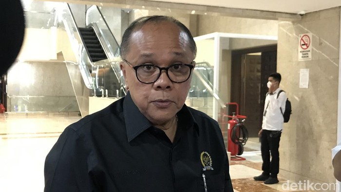 Junimart Girsang (Rolando Fransiscus Sihombing/detikcom).