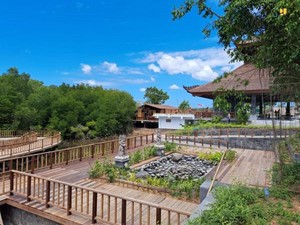 Penataan Kawasan Mangrove Tahura untuk Showcase G20 Sudah 80 Persen