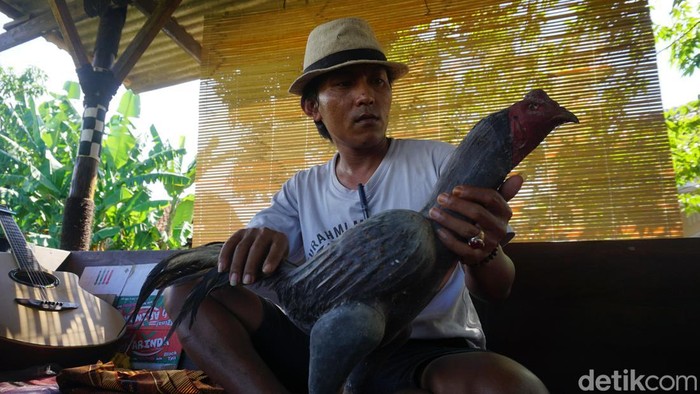 Produksi Boneka Ayam Jago Petarung di Desa Larangan, Kecamatan Lohbener, Kabupaten Indramayu