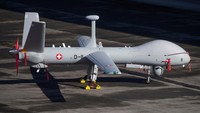 Dilaporkan, Swiss membeli enam ADS 15 senilai US$290 juta (Rp 4,3 triliun) pada 2015. Dua unit ADS 15 tahap awal sudah tiba dan suskes mendapat sertifikasi dari Armasuisse (lembaga pengadaan barang/jasa pertahanan Swiss).  