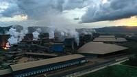 Sebagian besar cadangan nikel tersebut berada di Pulau Sulawesi. Kekayaan alam berupa nikel membuat Indonesia berhasil menguasai lebih dari 20 persen total ekspor nikel dunia sekaligus menjadi eksportir nikel terbesar kedua untuk industri baja negara-negara Uni Eropa.