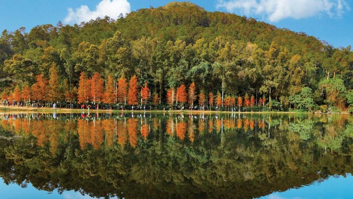 8 Wisata Anti Mainstream Hong Kong