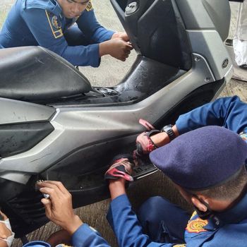 Aksi Damkar Evakuasi Ular King Koros dari Motor Warga Bogor (dok Damkar Kabupaten Bogor)