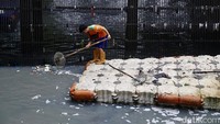 Sampah yang mengambang dikumpulkan dan diangkut ke daratan. Kemudian sampah-sampah itu dibuang.