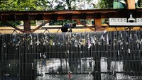Sampah menempel pada besi penghalang di pompa air itu. Para petugas juga menghimbau warga turut melakukan kegiatan preventif seperti tidak membuang sampah ke kali atau ke sembarang tempat. Warga juga diharapkan membersihkan drainase maupun saluran-saluran air dari sampah yang dapat menyumbat dan menimbulkan banjir.