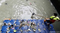 Petugas Unit Pelaksana Kebersihan (UPK) Badan Air, Dinas Lingkungan Hidup DKI Jakarta membersihkan sampah di Pompa Air Flyover Tomang, Selasa (13/9/2022).
