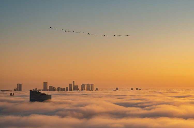 Bird Photographer of the Year 2022 Bird Photographer of the Year 2022