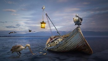 Peraih Silver kategori Creative Imagery diraih Janine Lee. Foto: Bird Photographer of the Year