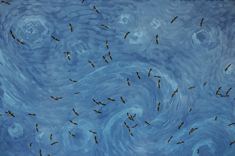 Bird Photographer of the Year 2022 Bird Photographer of the Year 2022