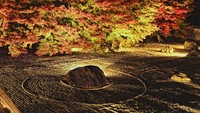 Di malam hari pun taman zen tidak kehilangan pesonanya. Malah lanskap ini terlihat sangat indah dengan tata cahaya. Taman zen ini berada di Kuil Jisso-in, Kyoto.