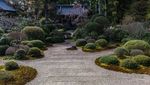 Healing Banget, Begini Indahnya Lanskap Zen Garden di Jepang