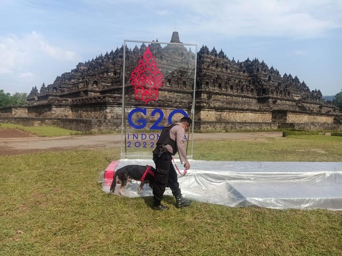 Hewan terlatih yang dilibatkan dalam pengamanan G20 di Borobudur, Magelang, Selasa (13/9/2022).
