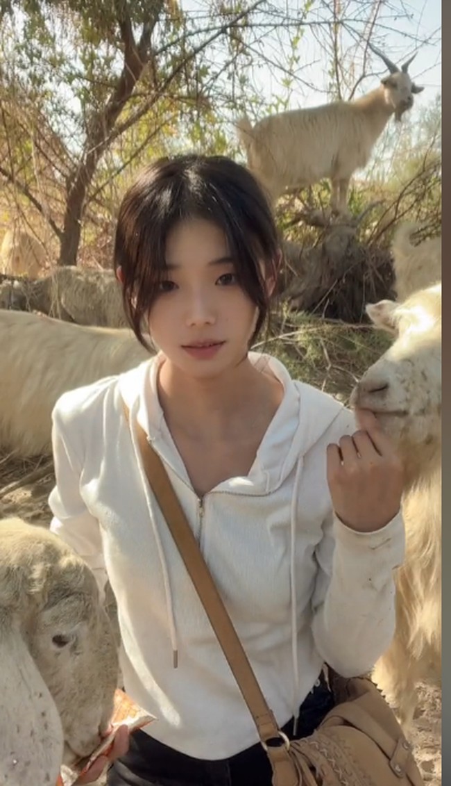 Seorang wanita bernama Huiran jadi viral di Douyin atau TikTok versi China karena keunikannya. Jika banyak wanita cantik memamerkan gaya atau pemandangan estetik, Huiran malah menampilkan kebolehannya dalam mengurus peternakan.Foto: Dok. Douyin Huiran