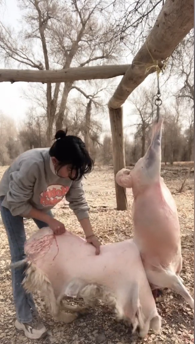 Huiran mulai dikenal netizen pada Februari 2022 ketika videonya, menyembelih dan menguliti domba jadi viral. Dalam postingan ini, ia terlihat bisa melakukan hal itu dengan mulus dalam waktu delapan menit. Hal itu membuat netizen terkagum terlebih dengan penampilannya yang cantik dan mungil.Foto: Dok. Douyin Huiran