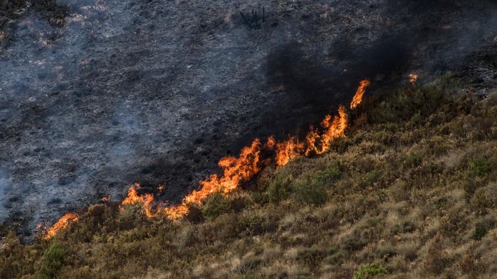 GRANADA, SPAIN - SEPTEMBER 12: Pepe, a resident of Los Guajares looks at the fire that approaches the road on September 12, 2022 in Granada, Spain. The fire that has been active for five days originated in the Los Guajares area near Granada and has already burned more than 3,500 hectares of forest, crops and grass. (Photo by Carlos Gil Andreu/Getty Images)