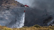 Api Mengamuk di Hutan Los Guajares Spanyol
