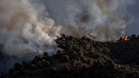 Asap yang mengepul memadati kawasan tersebut. Kobaran api telah membakar lebih dari 3.500 hektar hutan, tanaman dan rumput.