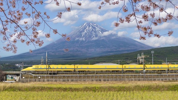 Bisa dibilang, angle foto ini merupakan paket lengkap yang menggambarkan Gunung Fuji merupakan milik Jepang. Kereta Shinkansen yang melintas dengan bunga Sakura yang bermekaran membuat lanskap ini sangat khas Jepang.
