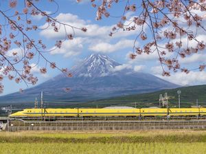 Kereta Wisata Gunung Fuji Khusus Turis Mulai Beroperasi