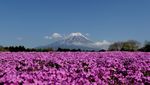 Lanskap Gunung Fuji yang Indahnya Nggak Ada Obat!