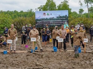 Menteri LHK Ajak Menteri Iklim & LH Norwegia Tanam Mangrove di Kaltim