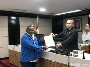 Effendi Simbolon Dilaporkan ke MKD DPR soal TNI Seperti Gerombolan
