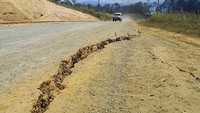 Salah satu ruas jalan di Kota Kainantu retak akibat gempa M 7,5.