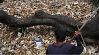 Sampah styrofoam itu sempat tercemar pada beberapa bulan lalu. Namun, saat ini kali tersebut kembali tercemar dengan hal serupa sehingga bisa menyebabkan aliran air kali tersumbat dan meluap.