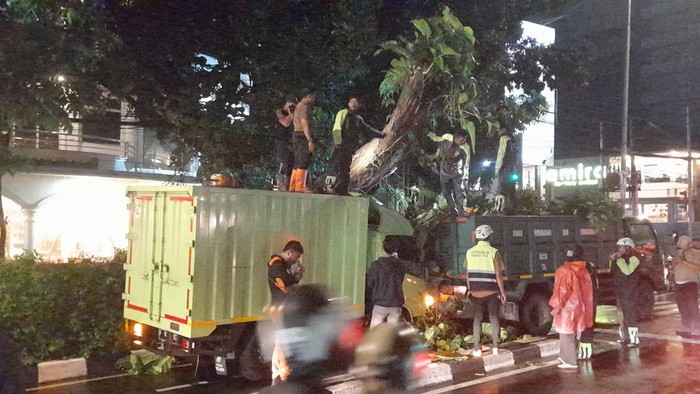 Pohon tumbang di Bogor timpa mobil box