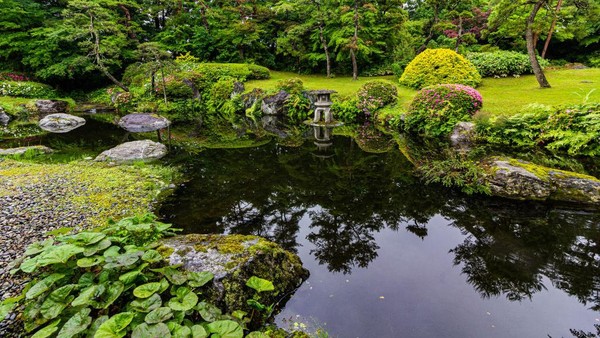 Berikutnya ada taman Unrei-an yang berada dalam kompleks penyulingan sake Aizu Homare Shuzo. Taman ini dibangun sejak periode Showa lho. Di taman ini Anda bisa berkeliling sambil menikmati 10 jenis sake. Taman ini pun didominasi pohon zelkova, pinus, maple dan sakura. Momen ini dipotret pada 17 Juni 2022.